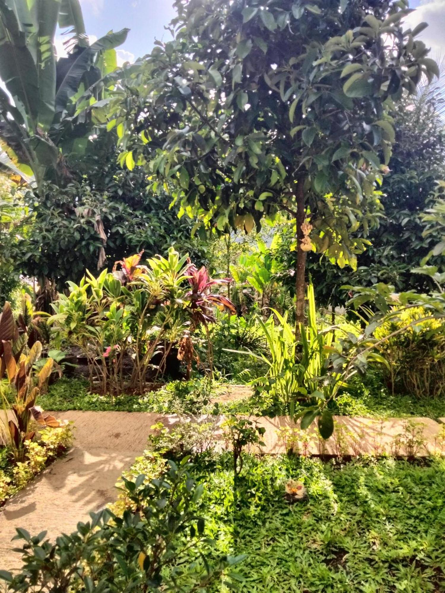 Buntera Homestay Sidemen Sidemen  Esterno foto