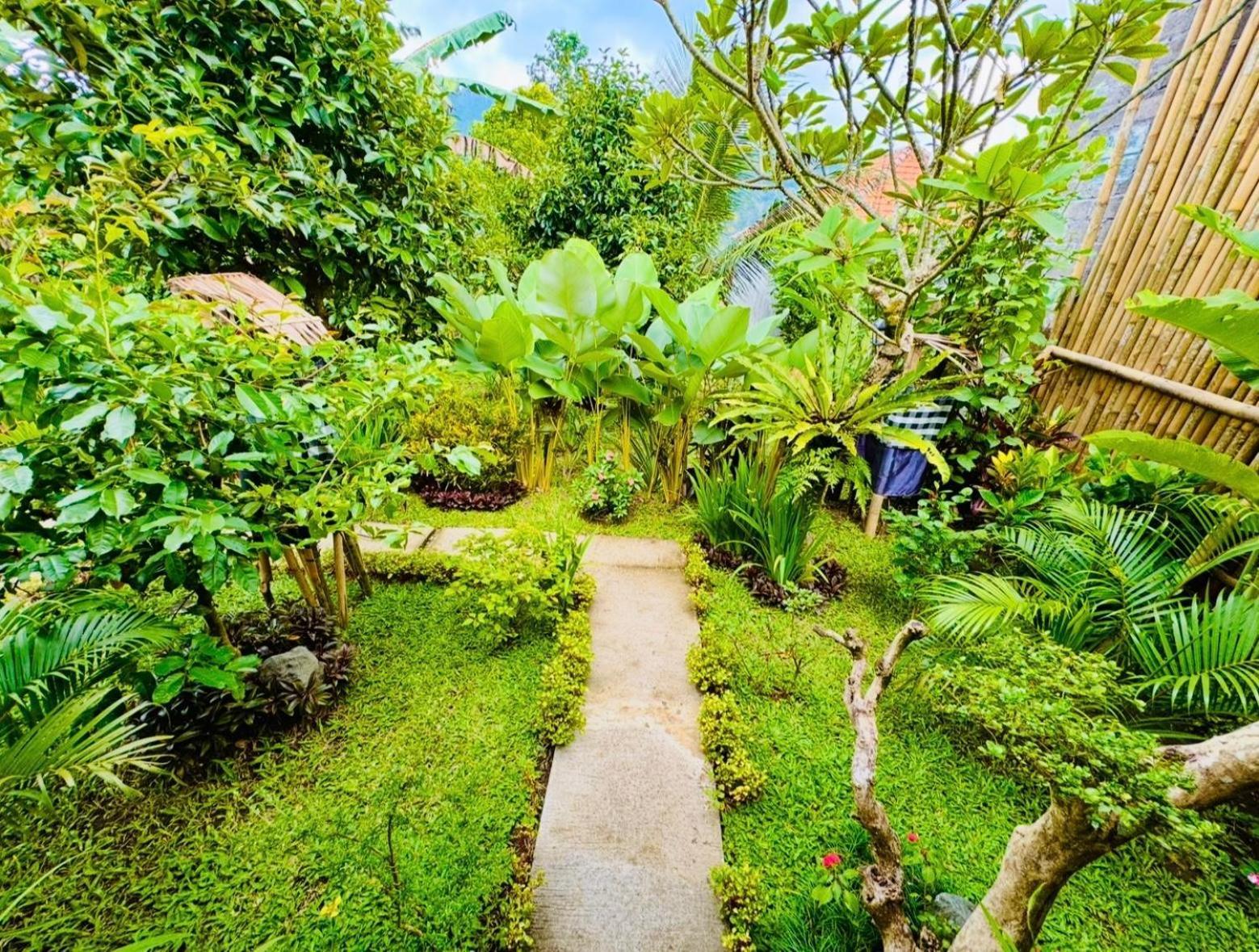 Buntera Homestay Sidemen Sidemen  Camera foto